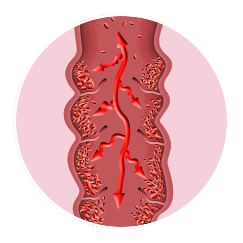 AuraLegs™ –Energía y Bienestar