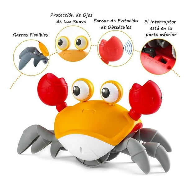 WonderRunner™ – Aventura en movimiento